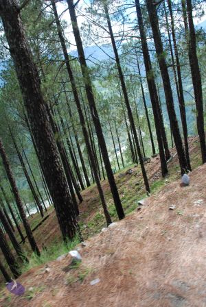 20080701 Photo 1572 1myR7SasrgNb00o gKXGqqB2mmpuajeeB.JPG