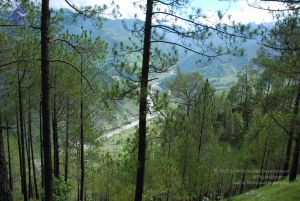 20080701 Photo 1574 1Nc-OtyXtpTub1lzh7 796mVGL65PI-8s.JPG