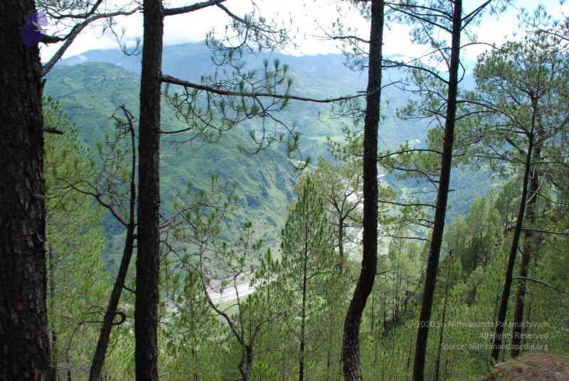 File:20080701 Photo 1575 1pmMo6d5zN658iiRAVLYq8e9fml3WGyZz.JPG