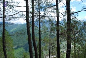 20080701 Photo 1576 1yUF7y5v3bfa04Gx-v59JVlBsDPt53upr.JPG