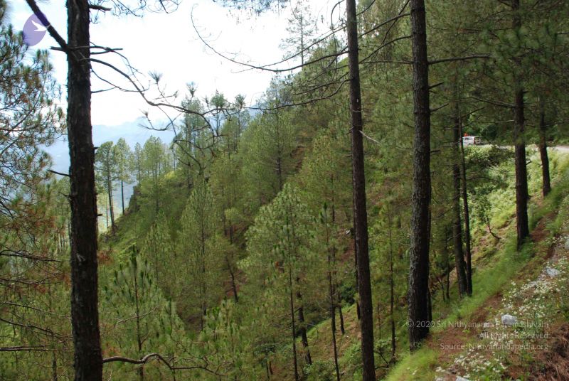 File:20080701 Photo 1579 1Qf5uShDVloKZS0YATDVLLY8Es2V2uzKx.JPG