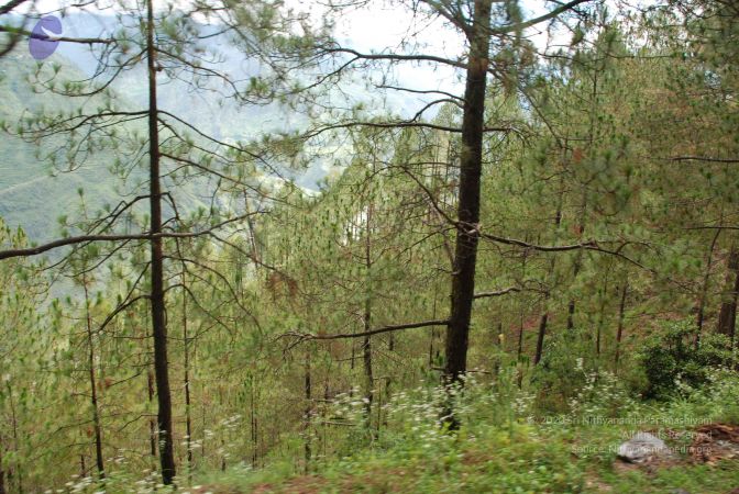 20080701 Photo 1580 1wu 7aqq4pXkfb q14Pgx0OmaH XfM5s8.JPG