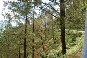 20080701 Photo 1581 1bTV7aSVn2dfrB41NlnOs u0C0M1qOrdq.JPG