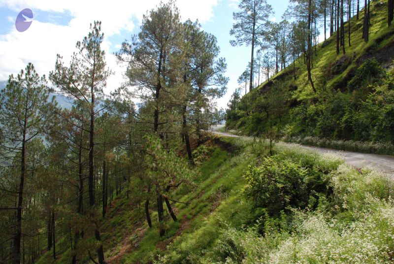 File:20080701 Photo 1583 1s9-gT0J70Mf9RBeYpovRly-LGVDh9578.JPG