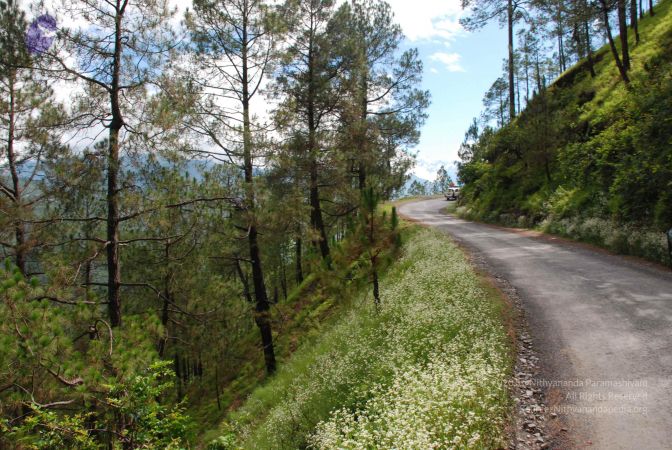 20080701 Photo 1585 1ncHR0to8Ps42kLxGf5JUQNQOxWmYgDTQ.JPG