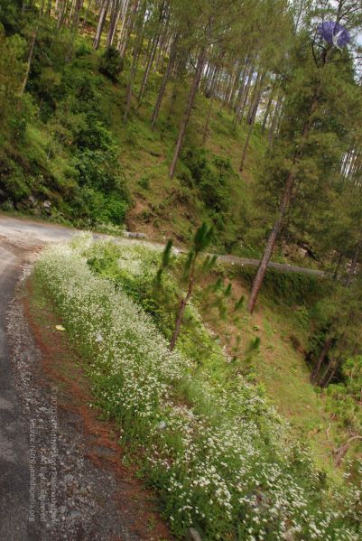 File:20080701 Photo 1586 1IvmrzIX0LhzgYd3C30rlHO5onslNiu8l.JPG