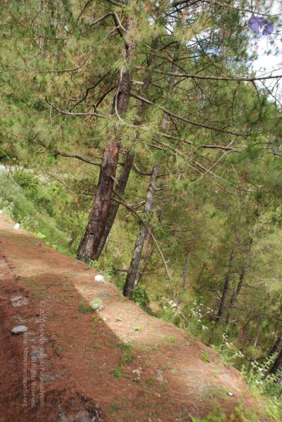 File:20080701 Photo 1589 1GUp3aHUgqqJz43CsbMo1-EtPlMt8h7Qv.JPG