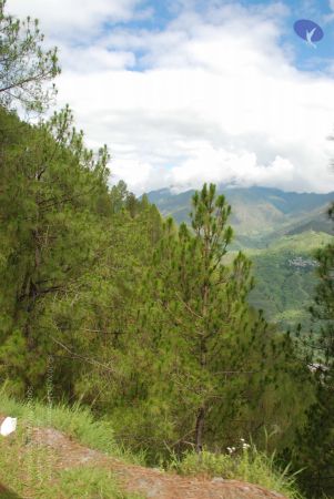 20080701 Photo 1590 11d3J7nf GY9wItFD08T U soRrF7laoy.JPG