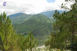 20080701 Photo 1593 1-7snVaUG5vwV9bZVjHU1ofpanBXUIMOQ.JPG