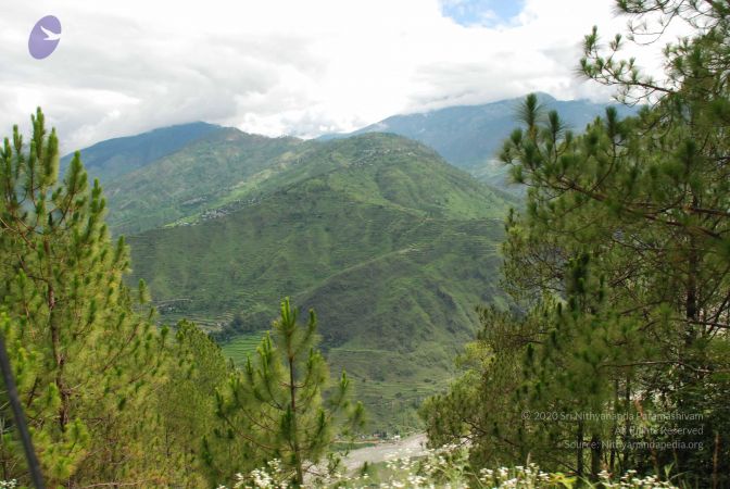 20080701 Photo 1593 1-7snVaUG5vwV9bZVjHU1ofpanBXUIMOQ.JPG