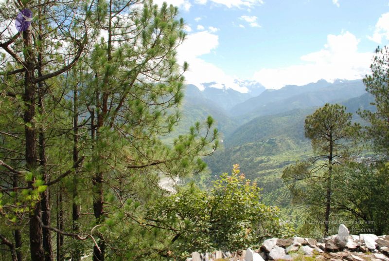 File:20080701 Photo 1594 1P7AoVXUV 9cadH7c0MbLFD2yAh8JVq-V.JPG