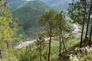 20080701 Photo 1597 1MF45sA-zlrbA3tTSHf7W3quU8ox4 G2X.JPG