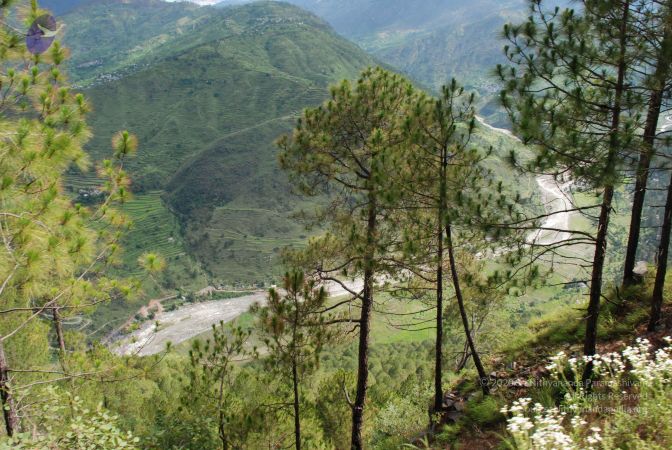 20080701 Photo 1597 1MF45sA-zlrbA3tTSHf7W3quU8ox4 G2X.JPG