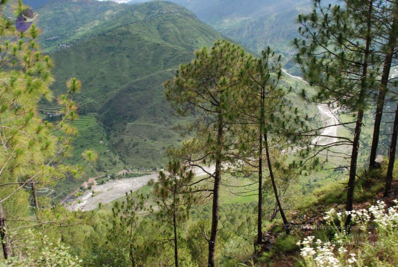 File:20080701 Photo 1597 1MF45sA-zlrbA3tTSHf7W3quU8ox4 G2X.JPG