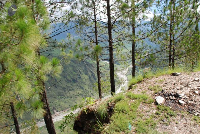 20080701 Photo 1598 1YYkvzE5pby36NWmWZoprbz-pEatrd0U4.JPG