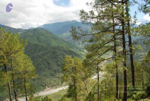 20080701 Photo 1602 1khifgzMFxyOiHjQmWnV95ZodLEH6dtVa.JPG