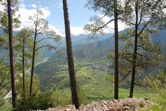 20080701 Photo 1605 1DNYJ5SMGVvVl6SWzMh7QTA2psjp7EdRA.JPG