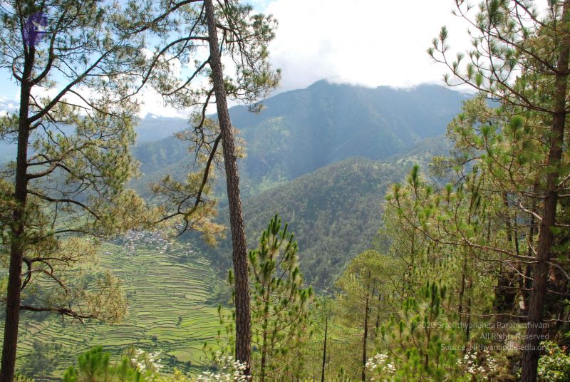 File:20080701 Photo 1606 162Ts MDvxN0yNquMCzXI Jvgr5A70-6J.JPG