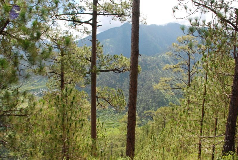 File:20080701 Photo 1610 1-85dwgTzDTZwbusWgzaNygicrqHMrLC6.JPG