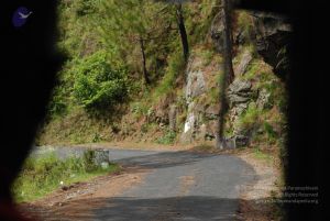 20080701 Photo 1613 1mXRXVTLmesDKXmuLUZJ2KcuGU-Kxjxdq.JPG