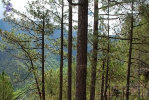 20080701 Photo 1614 1REQYiP4s16aRmiXRbR-cu1qFUtUkw-OT.JPG