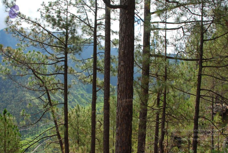 File:20080701 Photo 1614 1REQYiP4s16aRmiXRbR-cu1qFUtUkw-OT.JPG