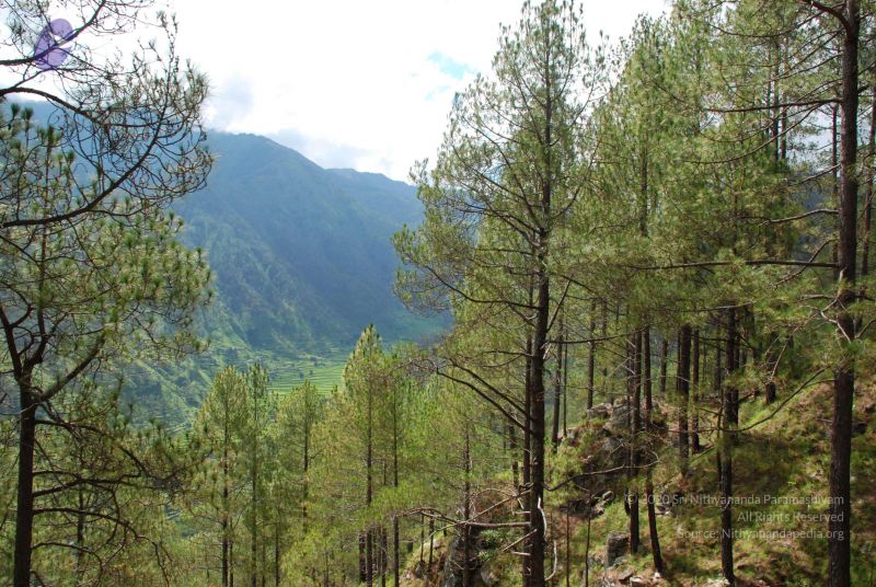 File:20080701 Photo 1615 1QzEdje-C5VfSzODvQe0QZzACheeyazsR.JPG