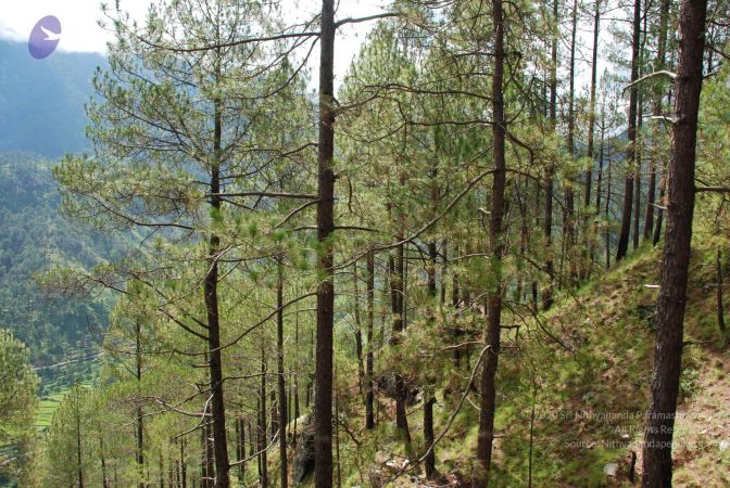 20080701 Photo 1616 1rVjcB67TeO4ImgUhvcCN6qlfeGc3-wri.JPG