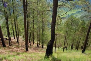 20080701 Photo 1618 1tcUVnUUyqZbMawltl4M7VA58S2baZQEN.JPG