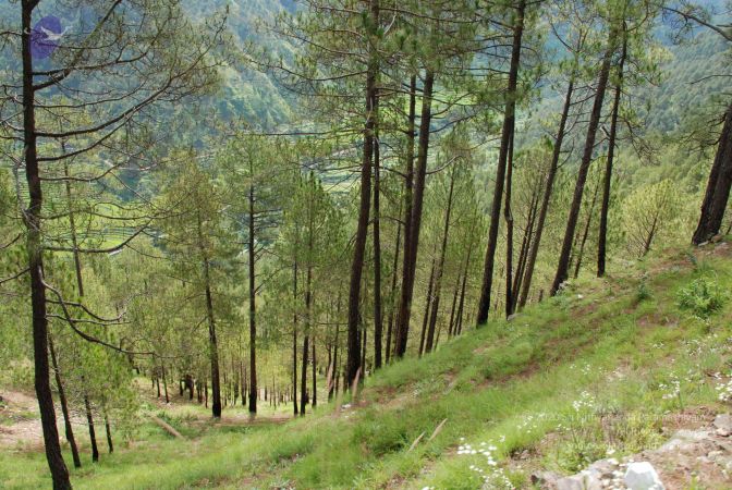 20080701 Photo 1620 1Aas DmigM92822o6oGn4vHJmFFJOWavb.JPG