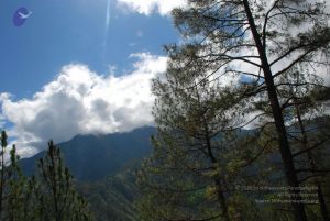 20080701 Photo 1623 1lIwKVZusNMHf BRDfjMBqBbegSAEACDd.JPG