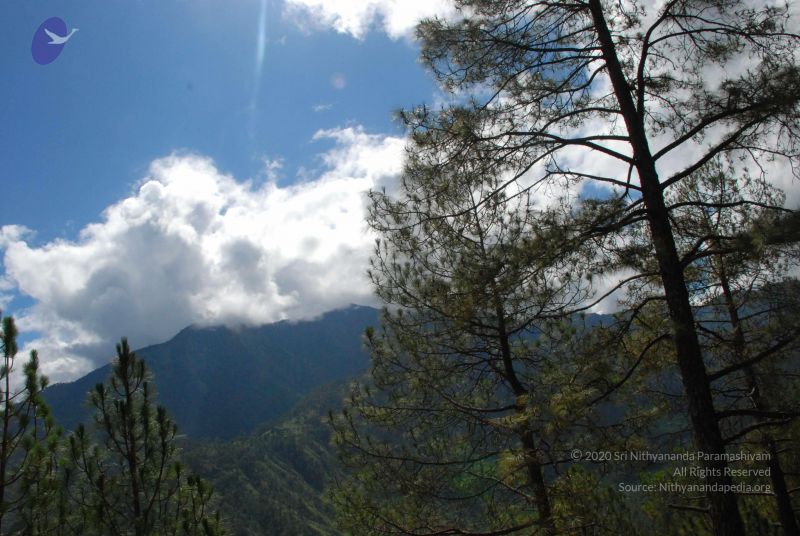 File:20080701 Photo 1623 1lIwKVZusNMHf BRDfjMBqBbegSAEACDd.JPG