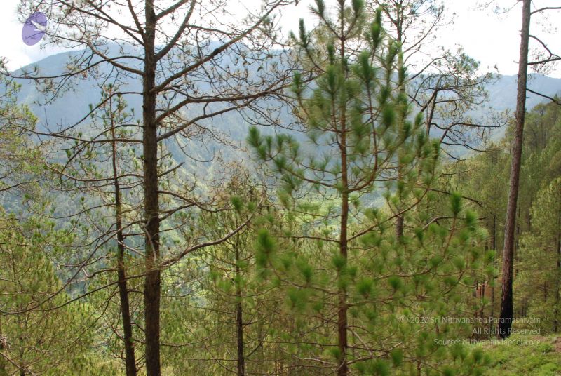 File:20080701 Photo 1624 1Hq uvUsy-WrxUvTqq-8no8 Vnv44 s9U.JPG