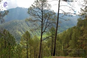 20080701 Photo 1625 1xHQTPcyH-eHpncJrehxEejXO-N uYYKQ.JPG