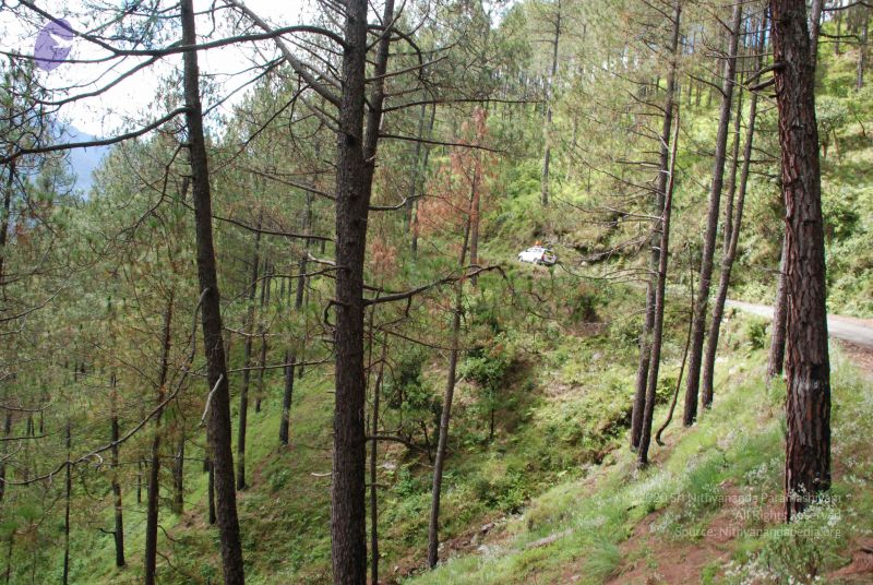 File:20080701 Photo 1628 16aFfM41VRhBNpNOXHORAK9bHx18uPx U.JPG