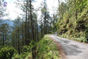 20080701 Photo 1630 1M GqL5UC 7R34v0W2N7ujjvuy2LETOHK.JPG