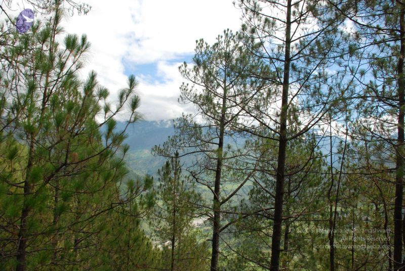 File:20080701 Photo 1632 1cruAWo4u-0rxq0MwvKjdxuzR2FGu YDQ.JPG