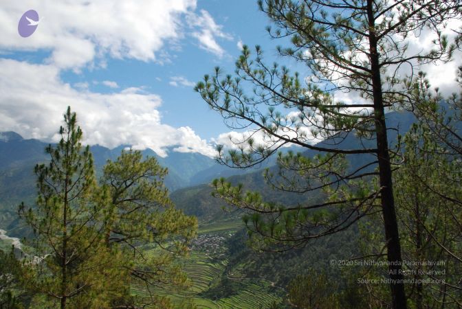 20080701 Photo 1634 1JjN6TxLw3JxscfI g GOaTH9ZuxE2Vf7.JPG