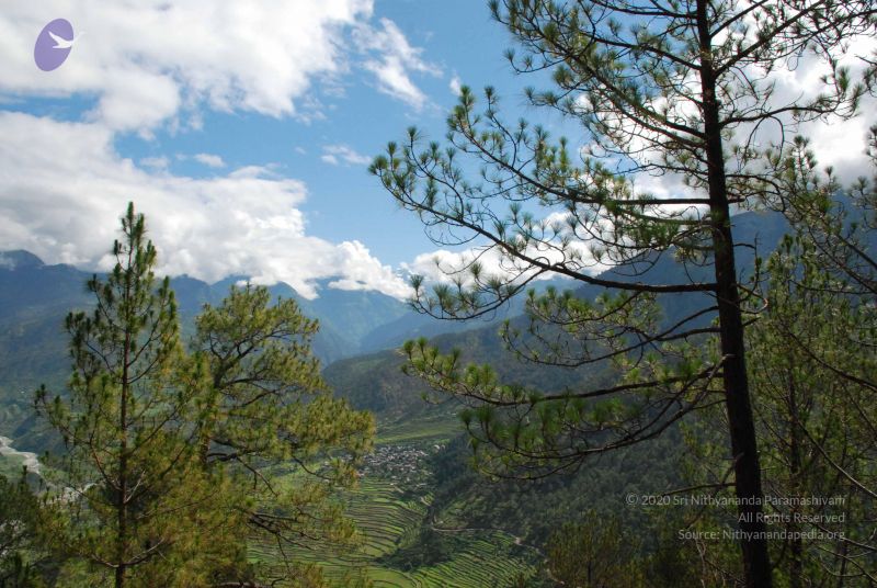 File:20080701 Photo 1634 1JjN6TxLw3JxscfI g GOaTH9ZuxE2Vf7.JPG