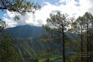 20080701 Photo 1635 1j wWDDFh0wVWRMzLZXArUzeBLszN0Op7.JPG