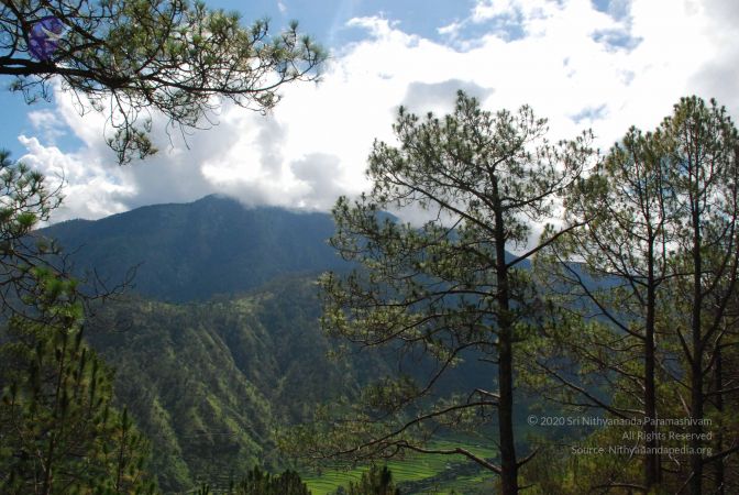 20080701 Photo 1635 1j wWDDFh0wVWRMzLZXArUzeBLszN0Op7.JPG