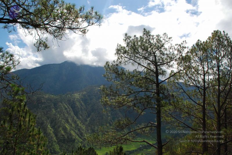 File:20080701 Photo 1635 1j wWDDFh0wVWRMzLZXArUzeBLszN0Op7.JPG