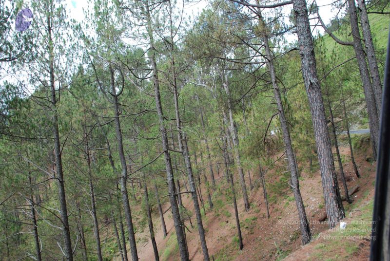 File:20080701 Photo 1645 1oBm7RyRSzRJhnPZU2j4thvNTk8JK1Ngj.JPG