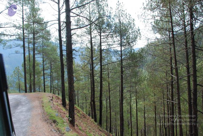 20080701 Photo 1647 1IldFCq7Xl3Vc135B1nl0I7X39dnSBlVx.JPG