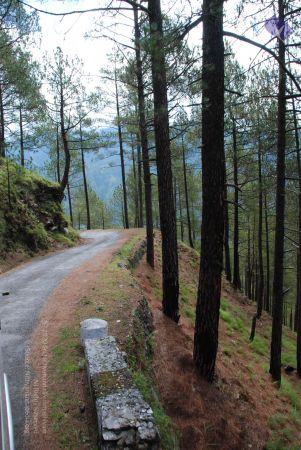 20080701 Photo 1648 1tEAPEkAE5A RoHp3lHlAix508e2bH7GC.JPG