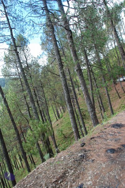 File:20080701 Photo 1650 1tgMOMfHAUuTcbnnIGff5WMy1oYQ0Kq2P.JPG