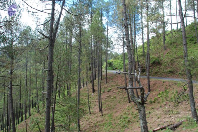 20080701 Photo 1652 1SliEsyvjhFQZ94a1gq55XZEw0lzEGUpf.JPG