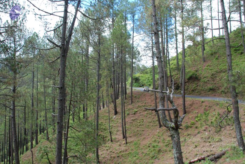 File:20080701 Photo 1652 1SliEsyvjhFQZ94a1gq55XZEw0lzEGUpf.JPG