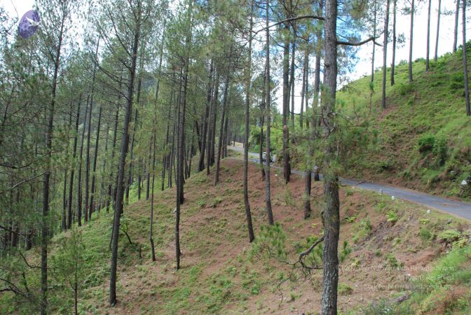 20080701 Photo 1653 1h5NSOr12LiVD2wOhXFtuxcpEjRdRLvqY.JPG