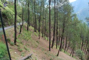 20080701 Photo 1655 1NXsj wSj0IJVK8oDrK1pCr9390pSr5-e.JPG